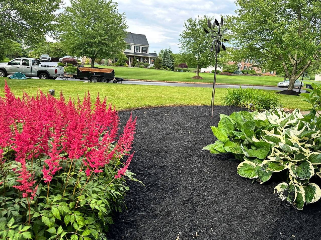 a garden with fresh mulch and landscape design