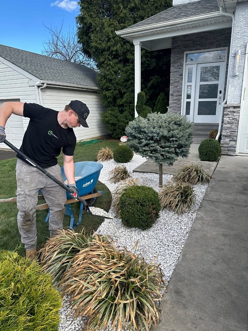 cutting bush with precision using hedge trimmer