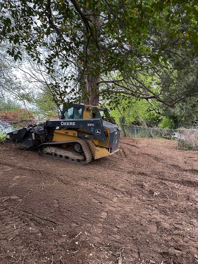 land clearing backyard