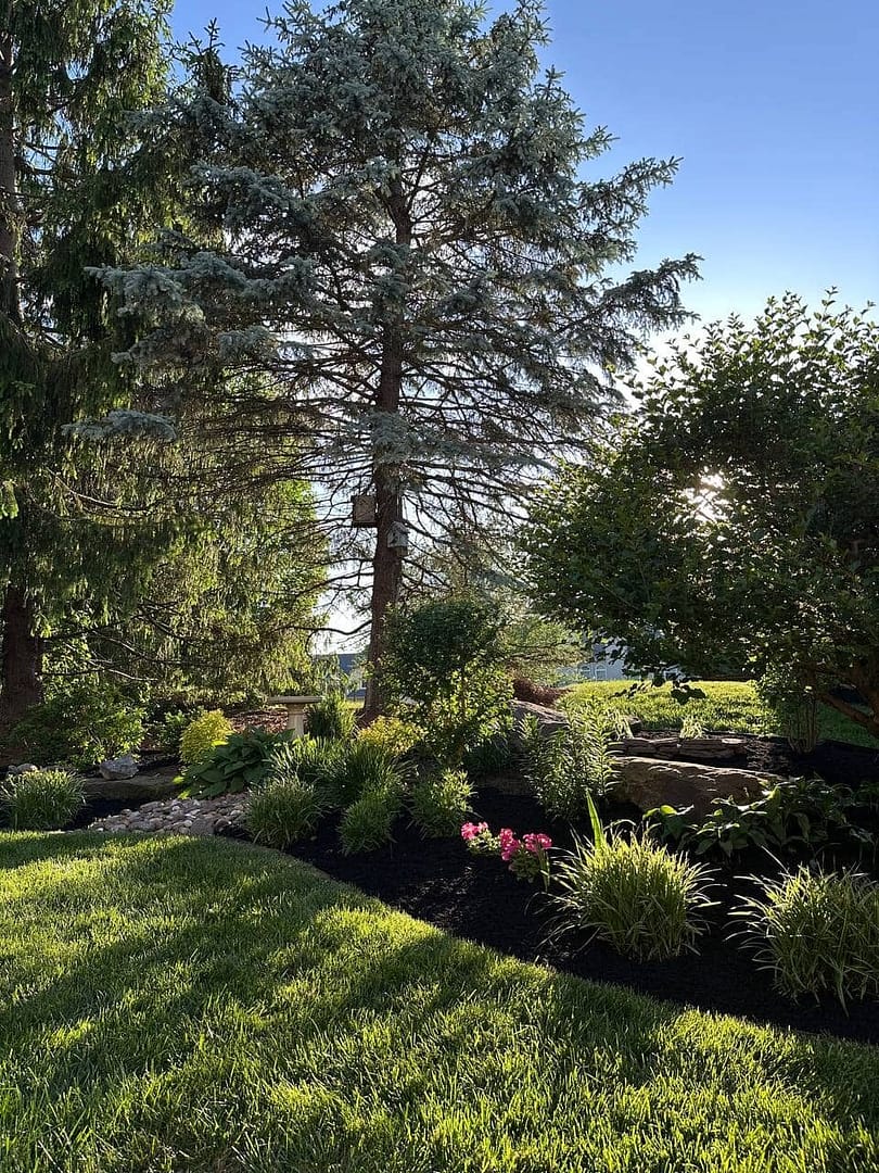 a garden with fresh mulch and landscape design