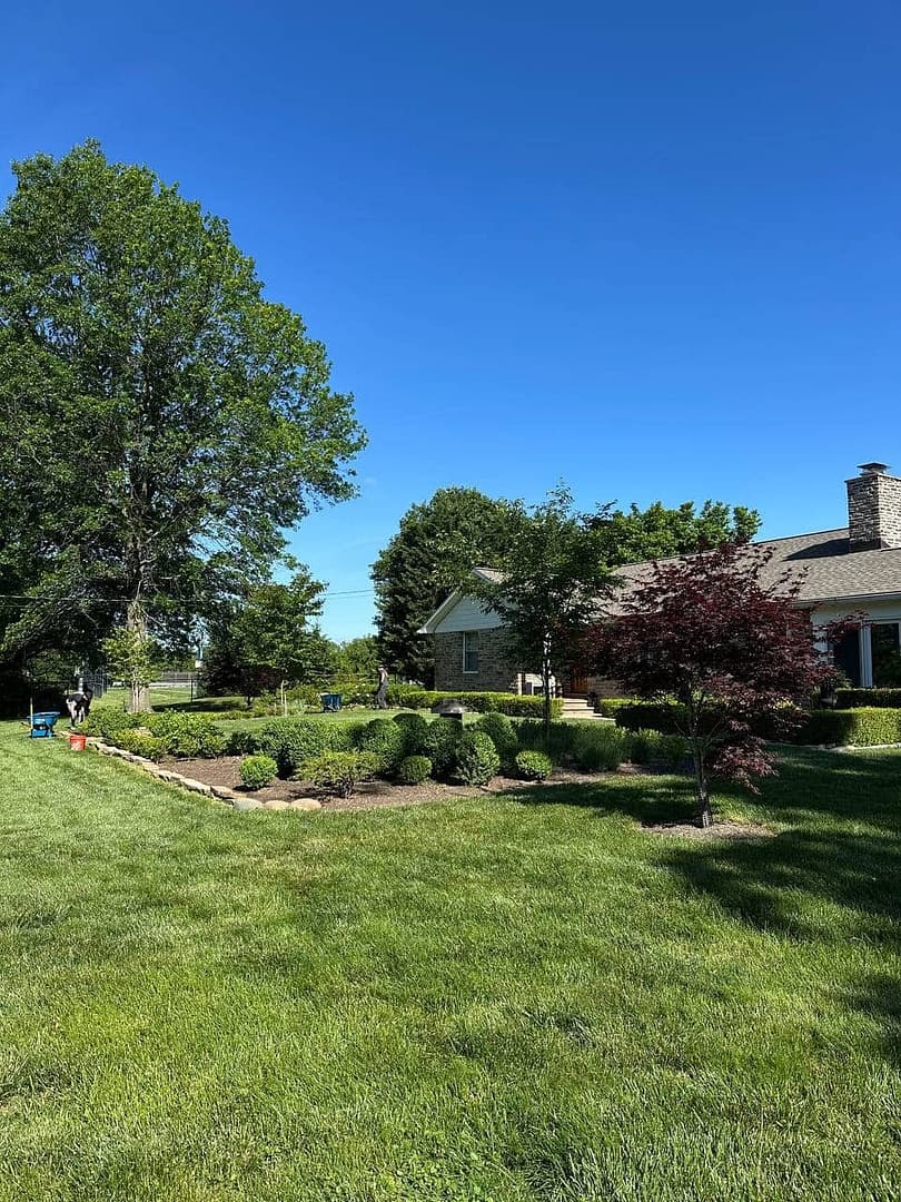 landscaping frontyard design