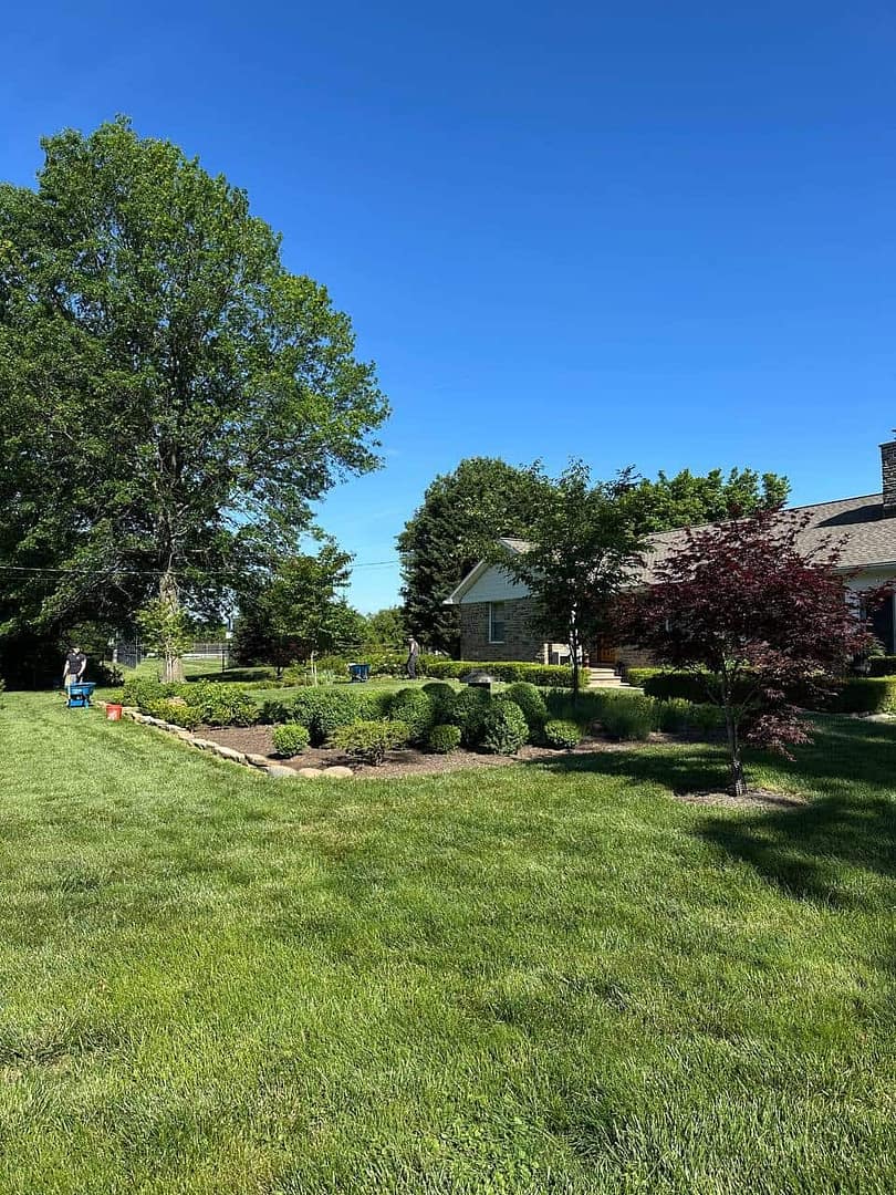 a group of people working in a front yard landscape design