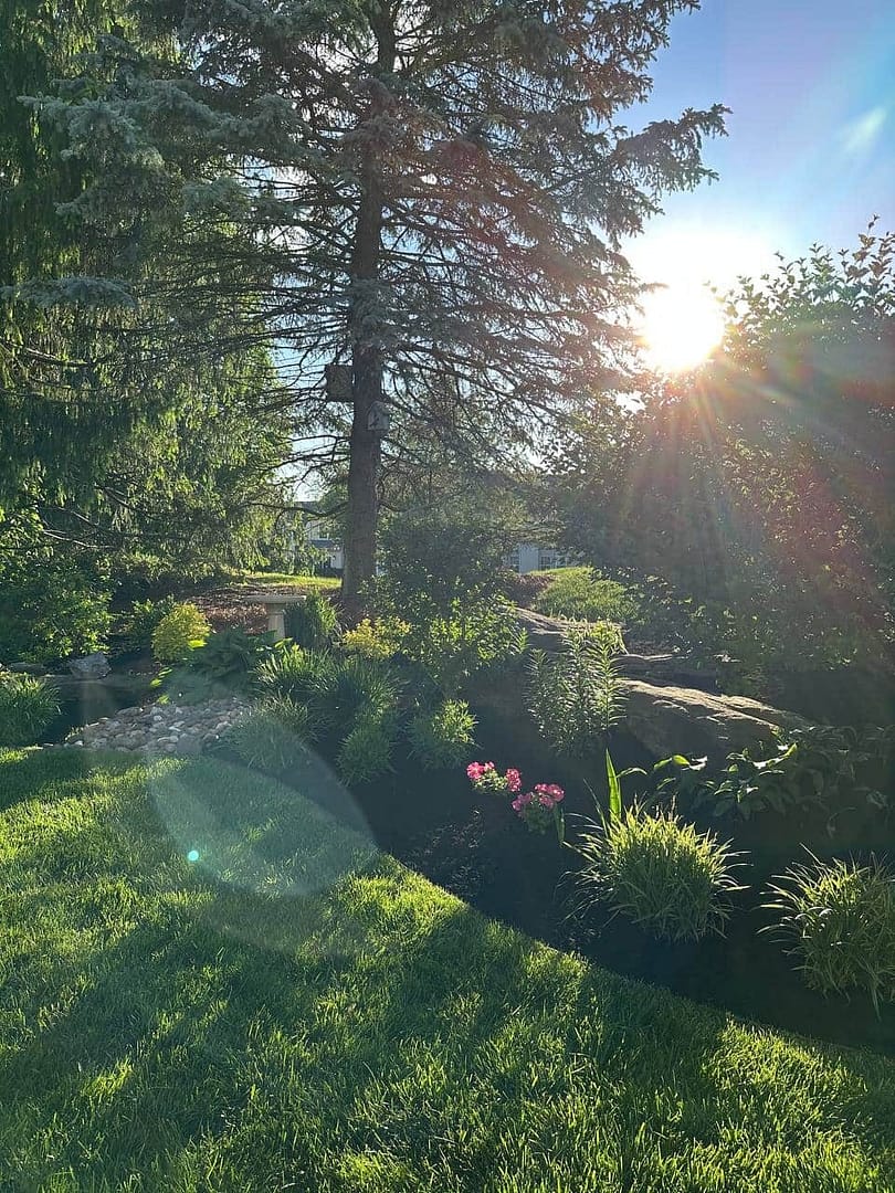 a garden with fresh mulch and landscape design